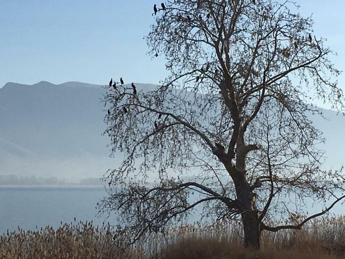 The Little Stone House By The Lake Kastoria Exterior foto